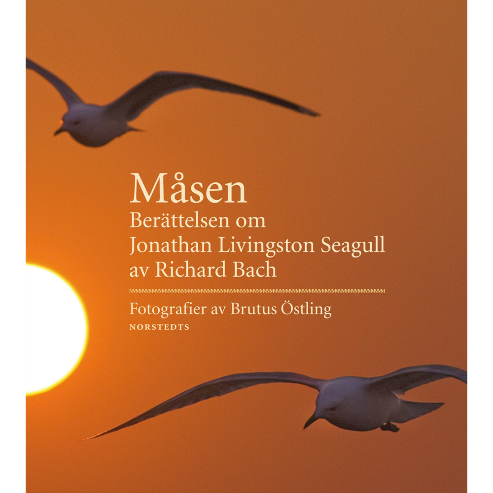 Produktbild för Måsen : berättelsen om Jonathan Livingston Seagull (inbunden)