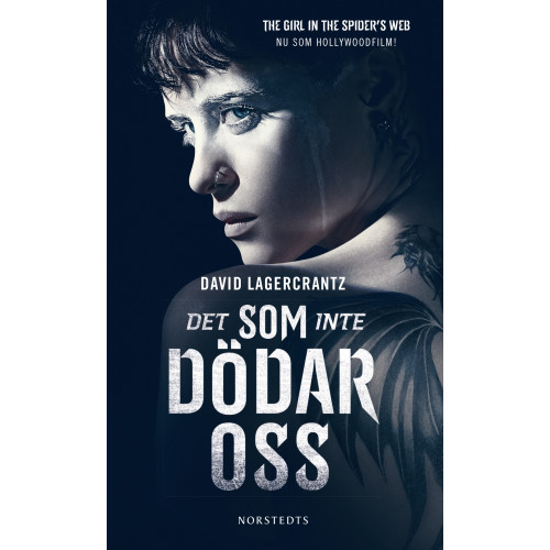 David Lagercrantz Det som inte dödar oss (pocket)