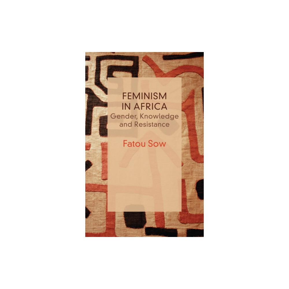 Produktbild för Feminism in Africa (häftad, eng)