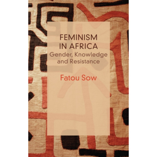 Polity Press Feminism in Africa (häftad, eng)