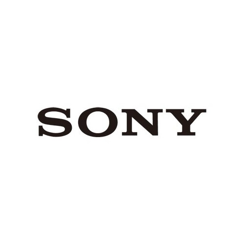 Sony Sony 149300413, TV, 100