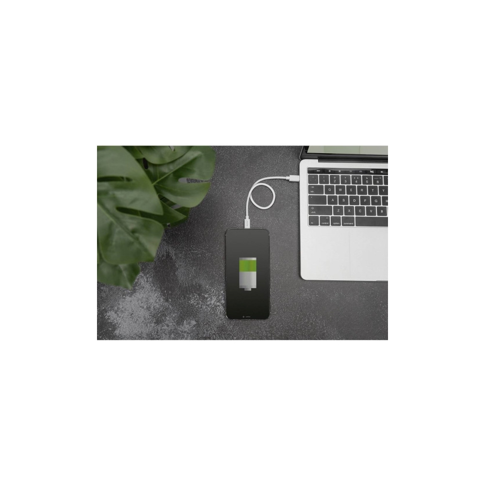 Produktbild för DIGITUS Lightning-kabel - 2 m