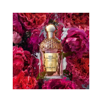 Produktbild för Guerlain Aqua Allegoria Forte Rosa Rossa Eau De Parfum 125 m...