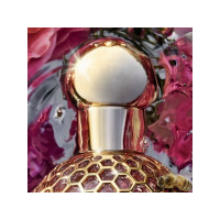 Produktbild för Guerlain Aqua Allegoria Forte Rosa Rossa Eau De Parfum 125 m...