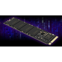 Produktbild för Lexar NM620 - SSD - 256 GB - PCIe 3.0 x4 (NVMe)