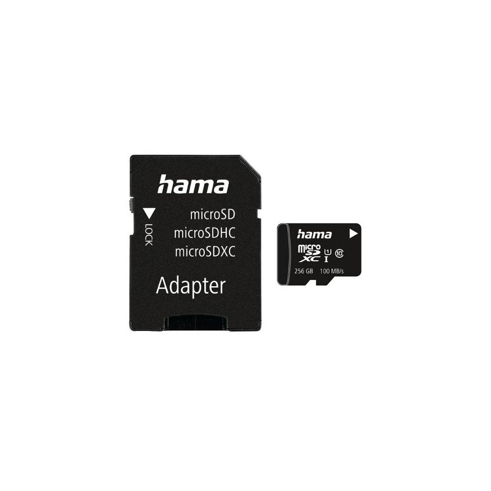 Produktbild för Minneskort HAMA Micro SDHC 256GB CL10