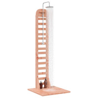 Produktbild för Utomhus Dusch 223 cm Massivt Douglas trä och rostfritt stål