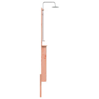 Produktbild för Utomhus Dusch 246 cm Massivt Douglas trä och rostfritt stål