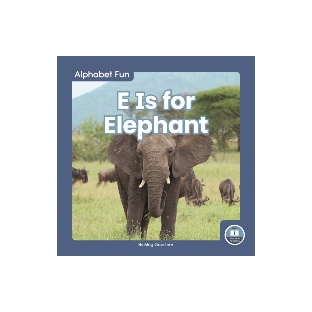Produktbild för E Is for Elephant (inbunden, eng)