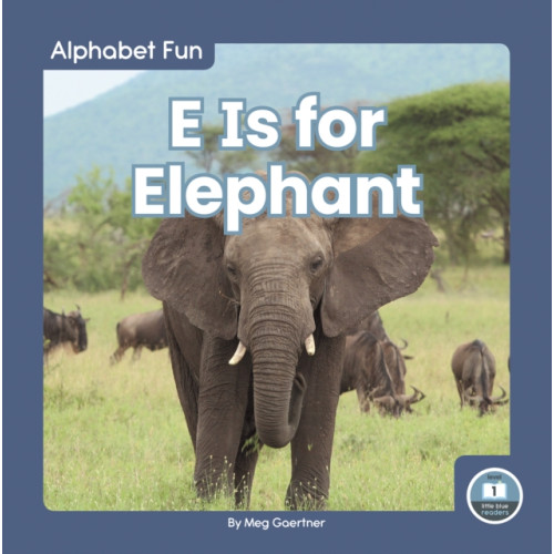 North Star Editions E Is for Elephant (inbunden, eng)