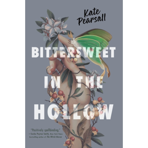 Penguin Putnam Inc Bittersweet in the Hollow (häftad, eng)
