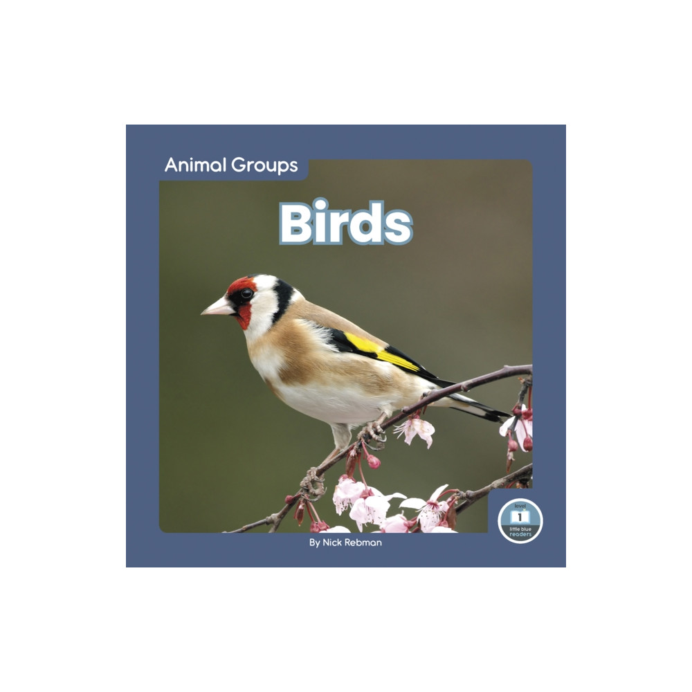 Produktbild för Birds (inbunden, eng)