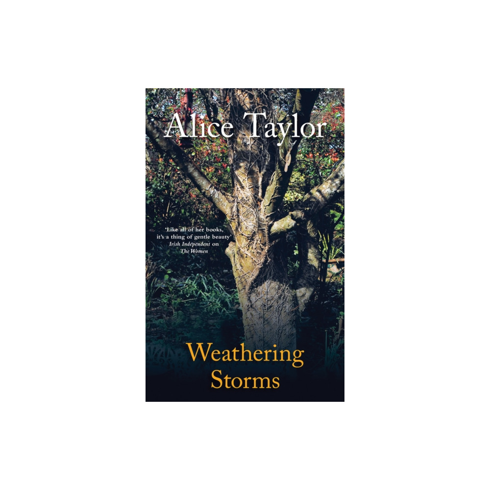 Produktbild för Weathering Storms (inbunden, eng)