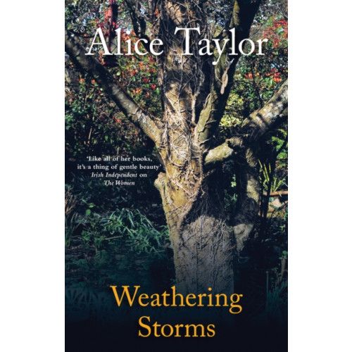 O'Brien Press Ltd Weathering Storms (inbunden, eng)