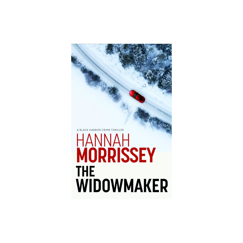Produktbild för The Widowmaker (häftad, eng)