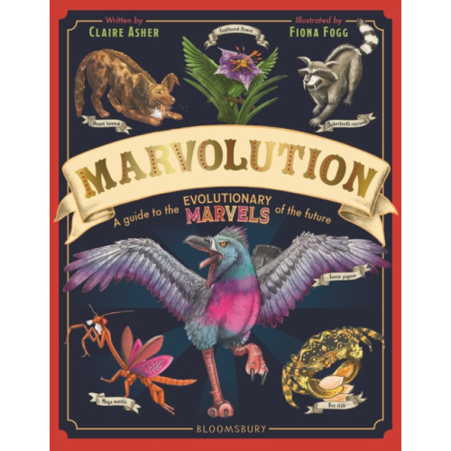 Bloomsbury Publishing PLC Marvolution (inbunden, eng)