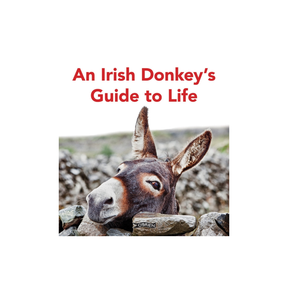 Produktbild för An Irish Donkey’s Guide to Life (inbunden, eng)