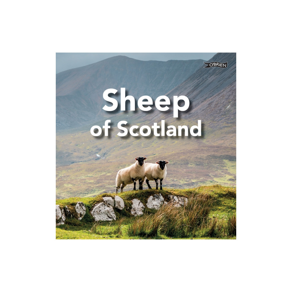 Produktbild för Sheep of Scotland (inbunden, eng)