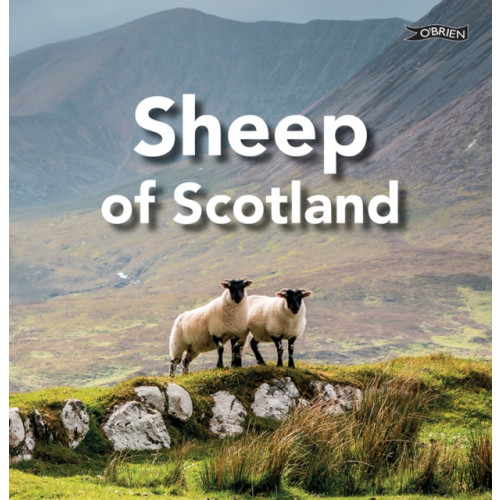 O'Brien Press Ltd Sheep of Scotland (inbunden, eng)
