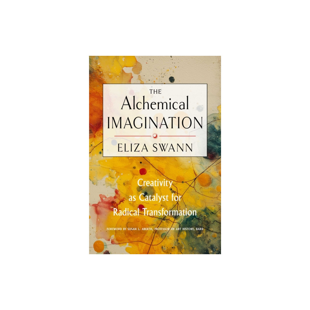 Produktbild för The Alchemical Imagination (häftad, eng)