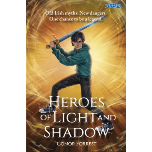 O'Brien Press Ltd Heroes of Light and Shadow (häftad, eng)