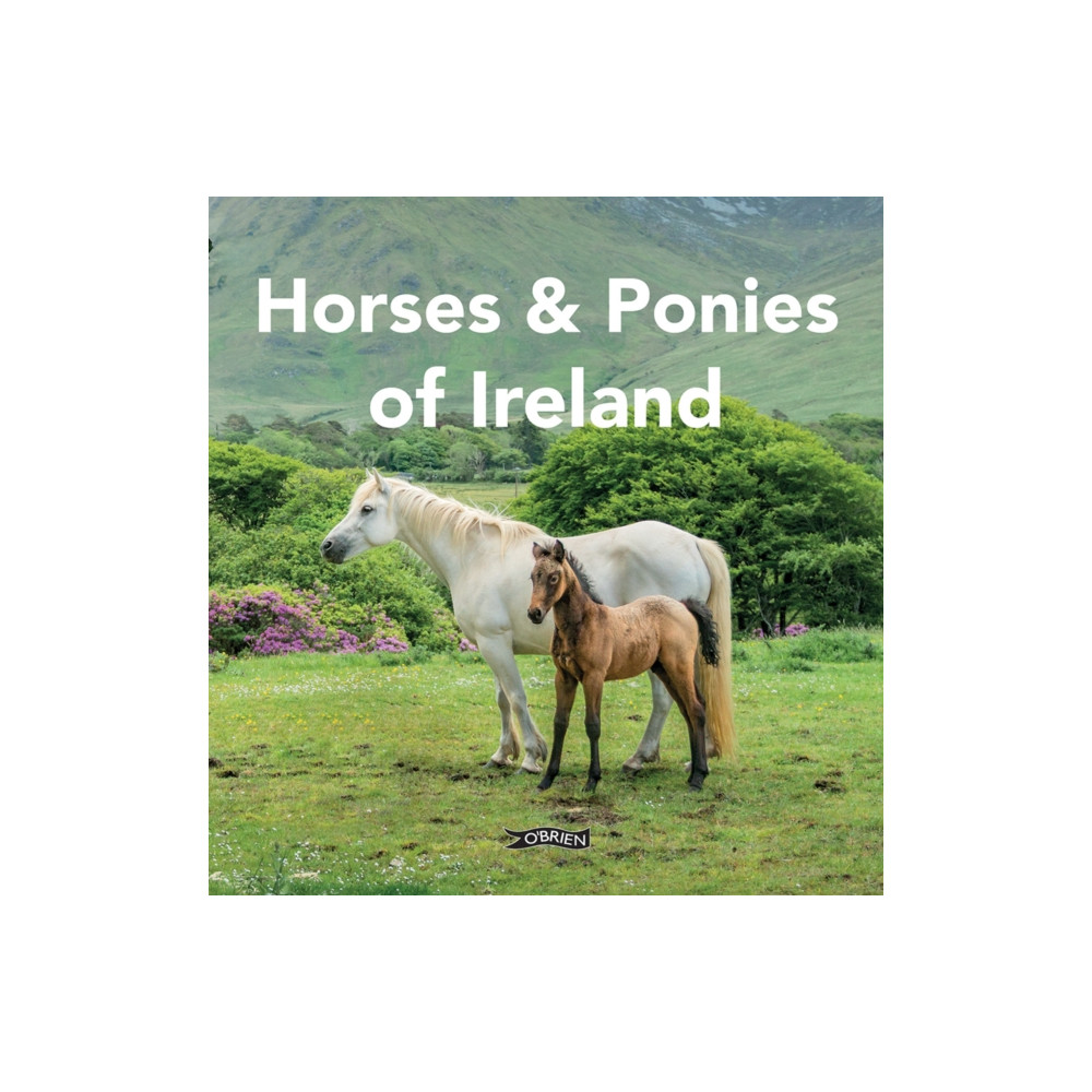 Produktbild för Horses and Ponies of Ireland (inbunden, eng)