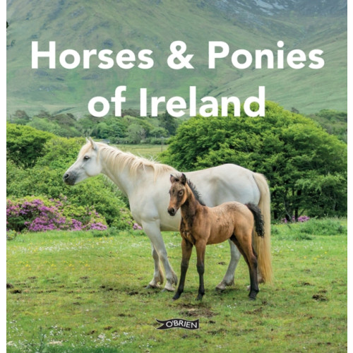 O'Brien Press Ltd Horses and Ponies of Ireland (inbunden, eng)