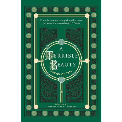O'Brien Press Ltd A Terrible Beauty (häftad, eng)