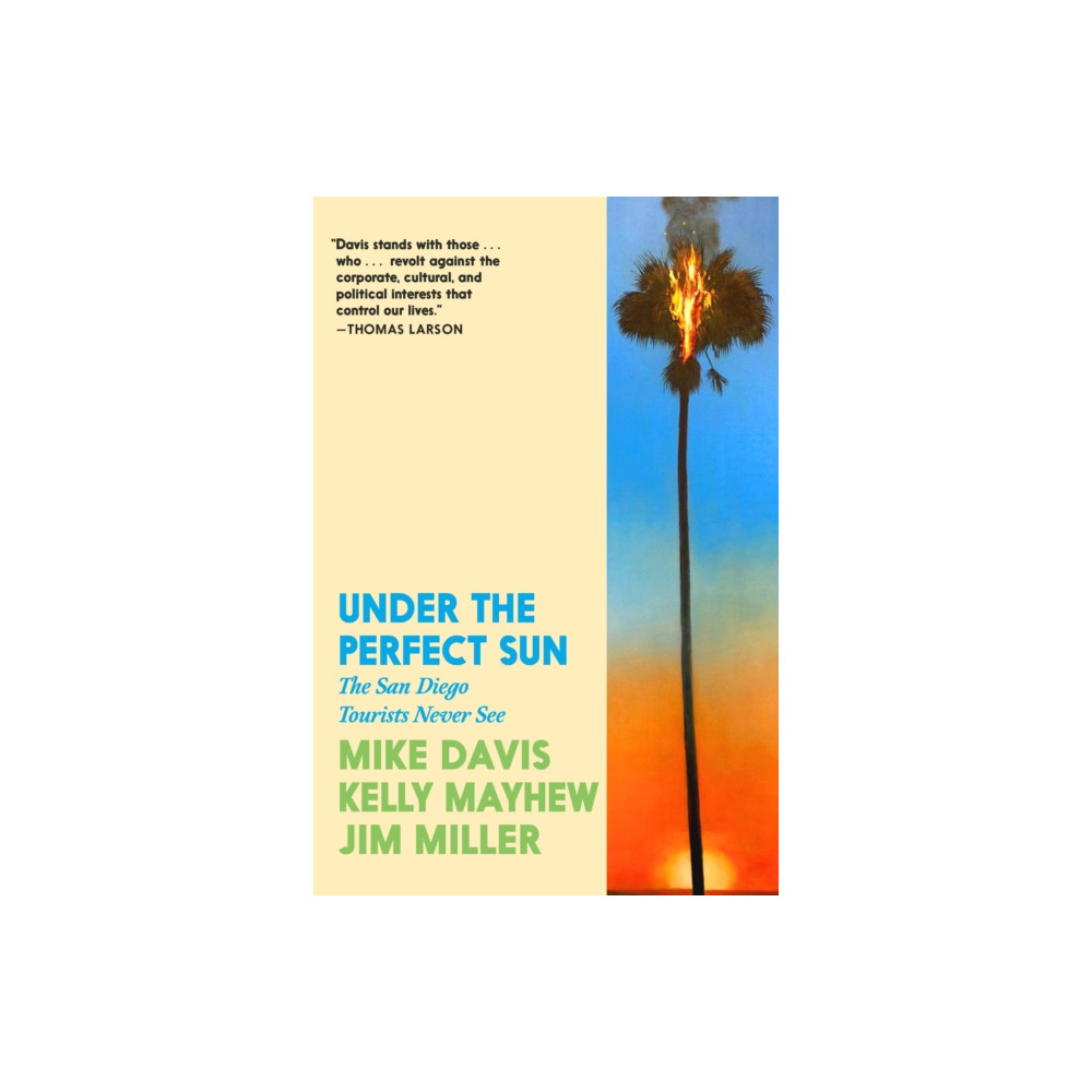 Produktbild för Under the Perfect Sun (häftad, eng)