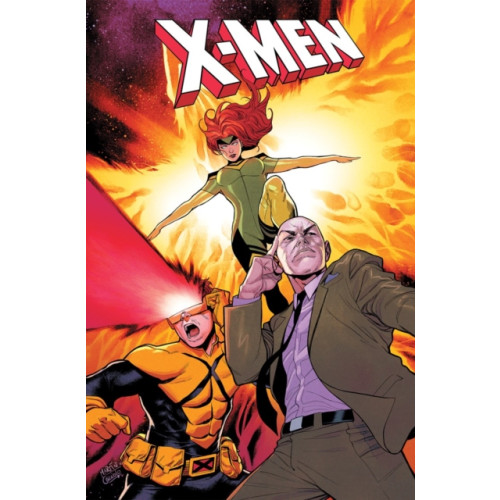 Marvel Comics X-Men: From The Ashes (häftad, eng)