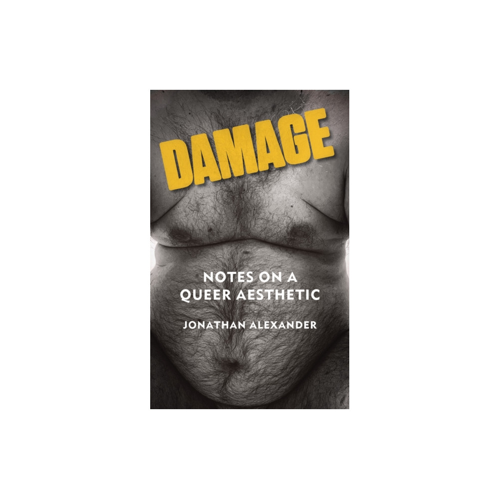 Produktbild för Damage (häftad, eng)