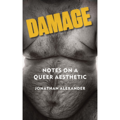 Fordham university press Damage (häftad, eng)