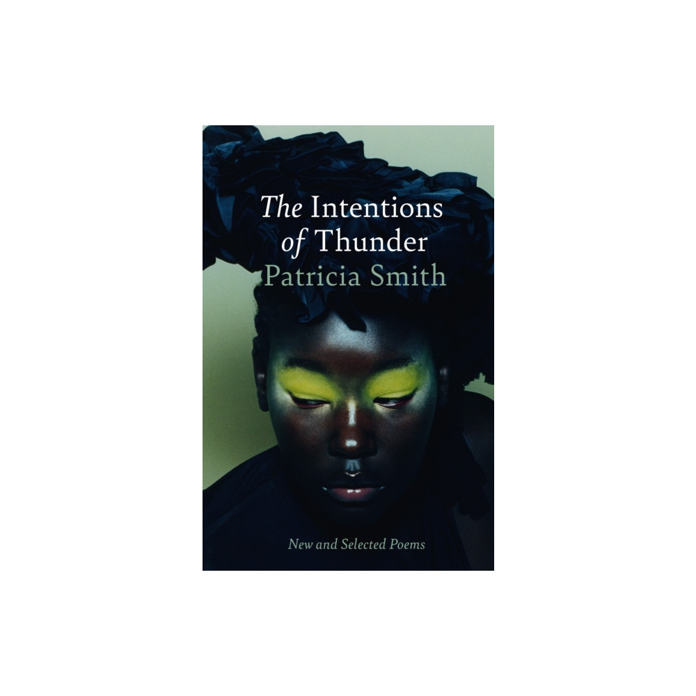 Produktbild för The Intentions of Thunder (häftad, eng)