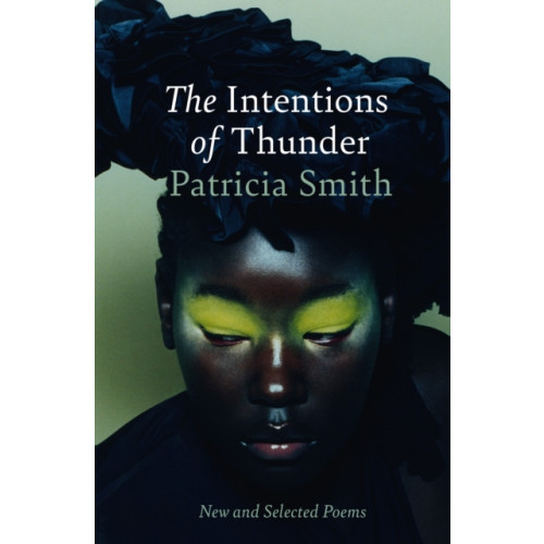 Bloodaxe Books Ltd The Intentions of Thunder (häftad, eng)