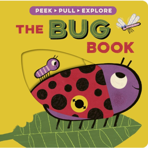 Little Tiger Press Group The Bug Book (bok, board book, eng)