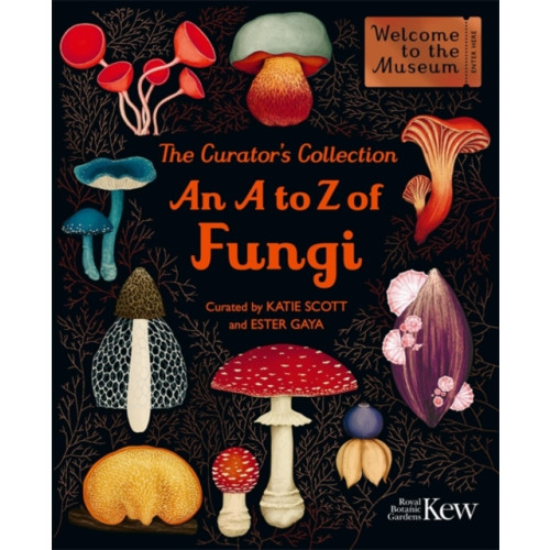 Bonnier Books Ltd The Curator's Collection: An A to Z of Fungi (inbunden, eng)