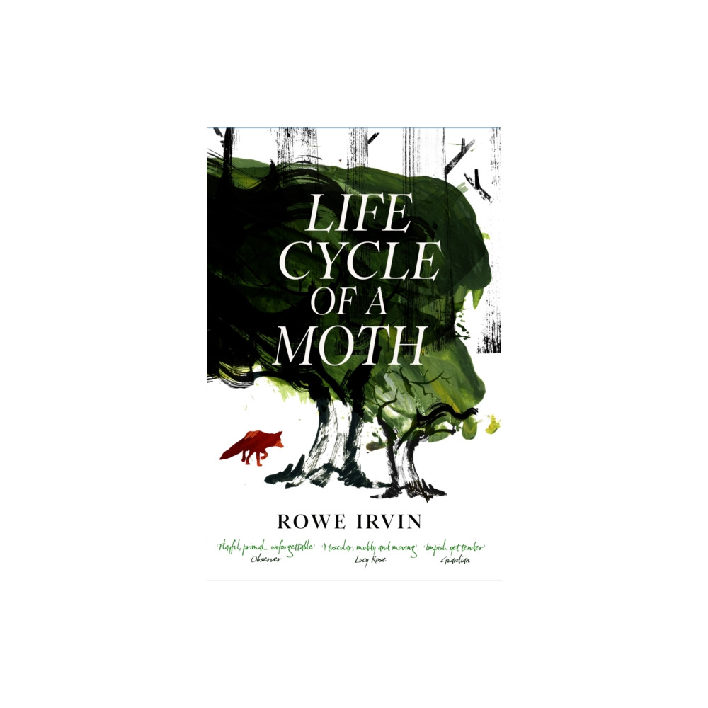 Produktbild för Life Cycle of a Moth (häftad, eng)