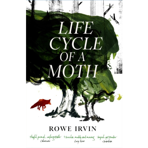 Canongate Books Life Cycle of a Moth (häftad, eng)