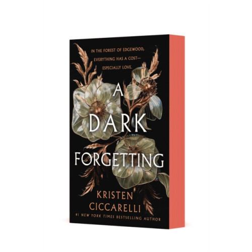 St. Martin's Publishing Group Dark Forgetting (häftad, eng)