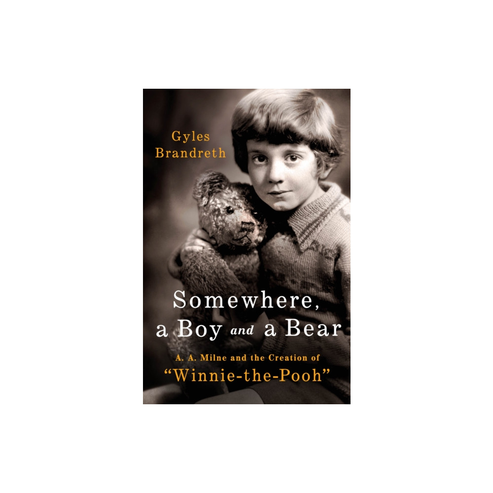 Produktbild för Somewhere, a Boy and a Bear (inbunden, eng)