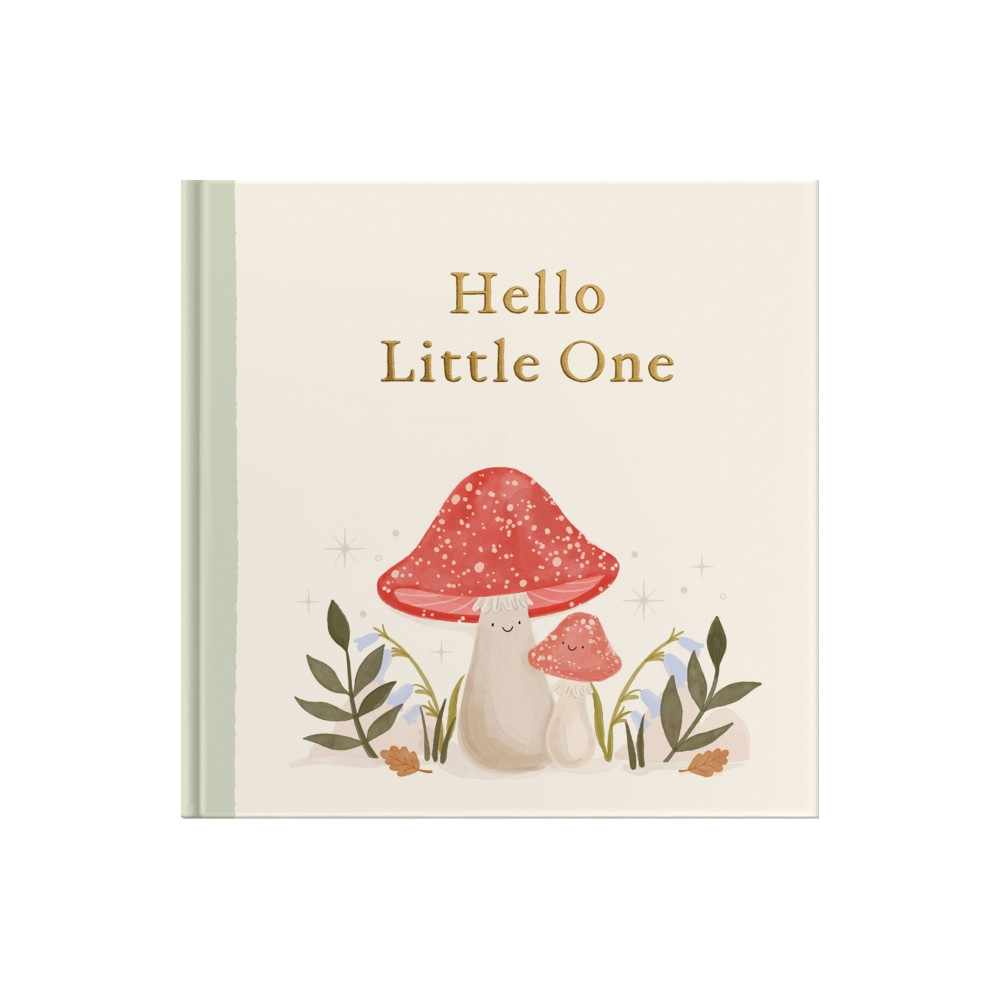 Produktbild för Hello Little One (inbunden, eng)