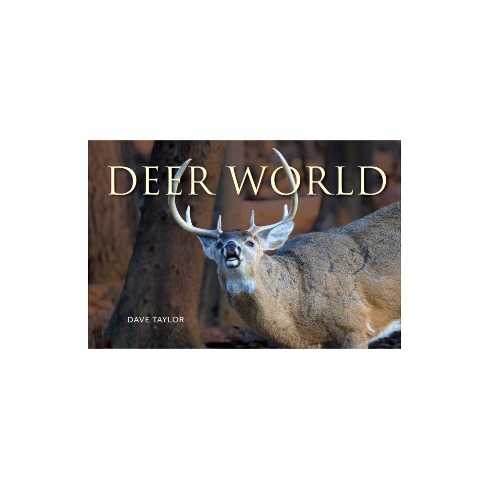 Produktbild för Deer World (häftad, eng)