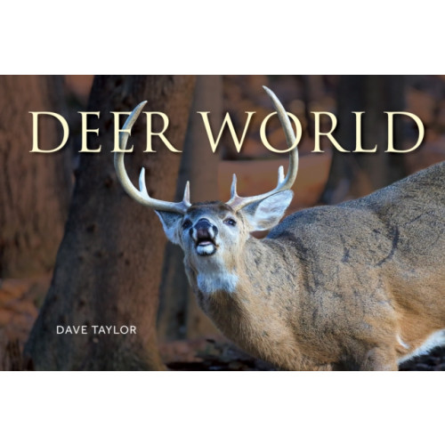 Firefly Books Ltd Deer World (häftad, eng)