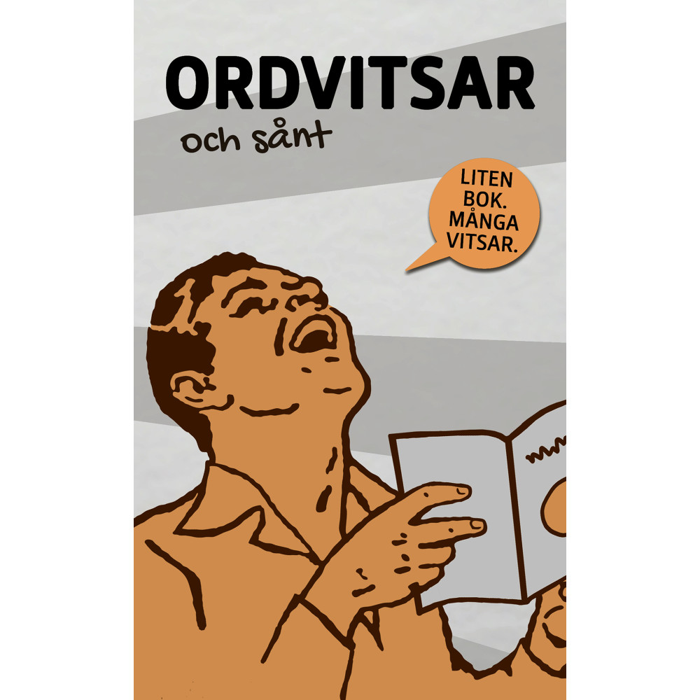 Produktbild för Ordvitsar och sånt (häftad)