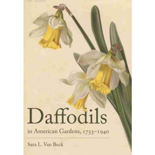 University of South Carolina Press Daffodils in American Gardens, 1733–1940 (inbunden, eng)