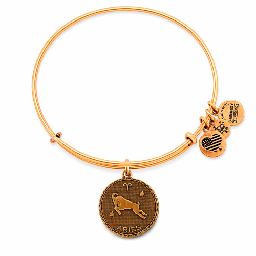 Alex and ani ALEX AND ANI A07EB40ARRG - Bracelet Dam (19-25CM)