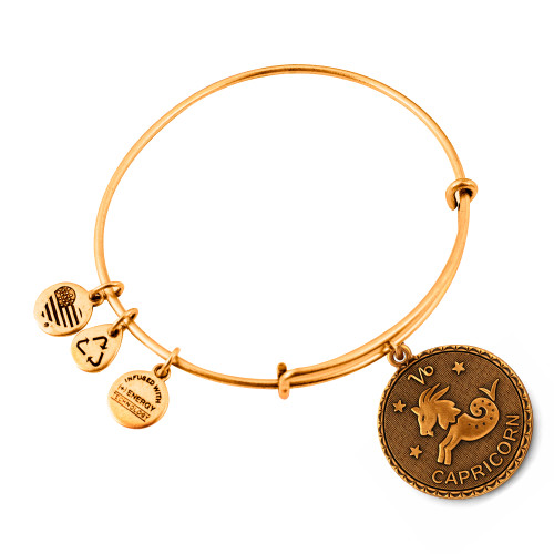 Alex and ani ALEX AND ANI A07EB40CARG - Bracelet Dam (19-25CM)
