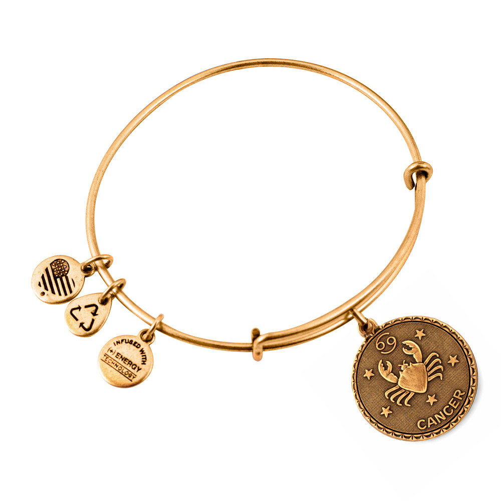 Produktbild för ALEX AND ANI A07EB40CNRG - Bracelet Dam (19-25CM)