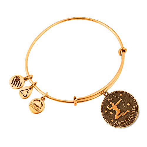 Alex and ani ALEX AND ANI A07EB40SARG - Bracelet Dam (19-25CM)