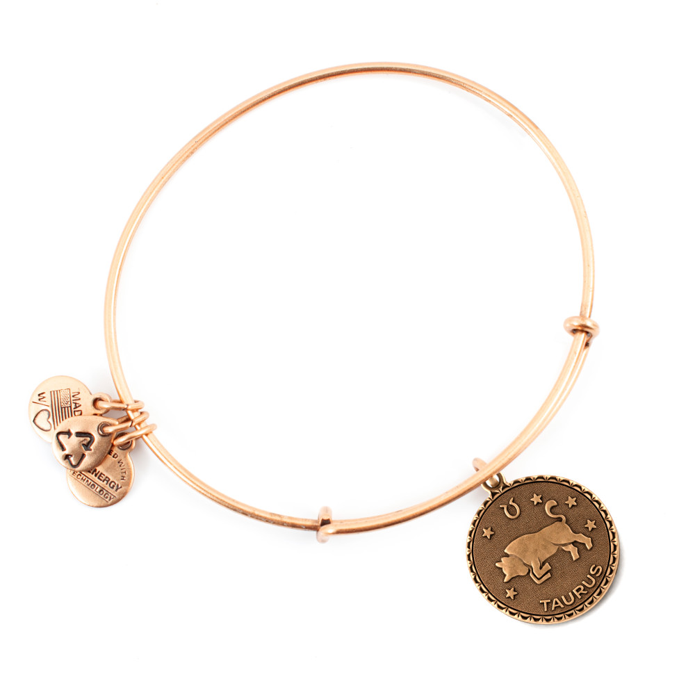 Produktbild för ALEX AND ANI A07EB40TARG - Bracelet Dam (19-25CM)